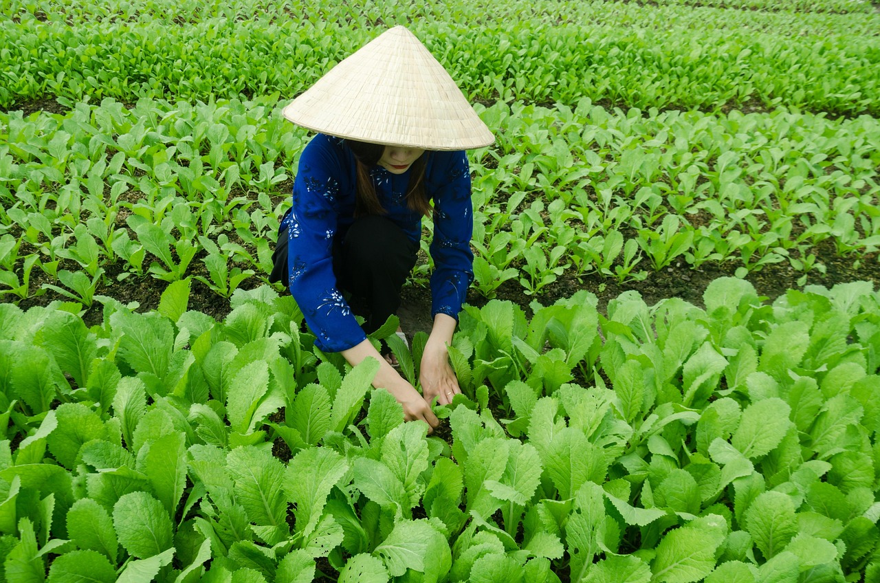 毕竟终归 第6页