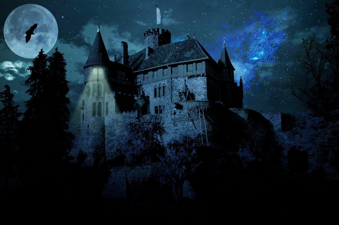 五月明星卧底揭秘，星光熠熠的神秘之旅体验